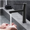 Grifo lavabo monomando bezana negro mate latón