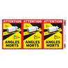 Pack 3 adhesivos 'angles morts' camión 17 x 25 cm