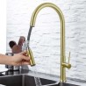 Alpha sort fregadero c/extraible oro cepillado - Saneamientos