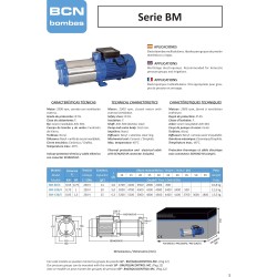 Bomba regul.presion 1cv gp-bm 104 r.9420