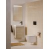 Compra Taza roca compacta suspendida rimless ona blanco stock