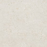 Doge san marco 60 x 60 stock (embalaje de 1 unidades)