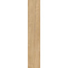 Compra Bosco primavera 22.5 x 119.5 hasta fin existencias