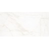 60x120r 7 marble dolomita blanco stock (embalaje de 1 unidades)